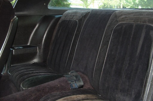 1977 Rear