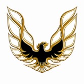 1974-78 Pontiac Trans Am Gold/Clear Decal Kit Complete