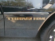 1974-1981 Trans Am Side Body Molding