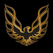 1973-78 Pontiac Trans Am Gold/Black Decal Kit Complete