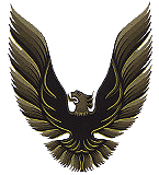 1980 Pontiac Trans Am Dark Gold Decal Kit Complete