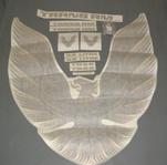 1978 Y88 Gold Special Edition Decal Kit Ultimate