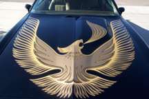 1981 Turbo Trans Am Decal Kit Complete