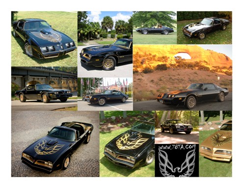 78ta.com 2009 Special Edition Calendar