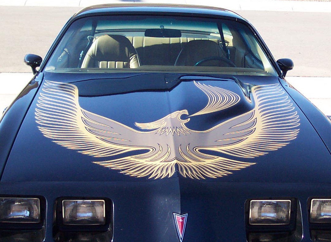 1981turbobird.jpg