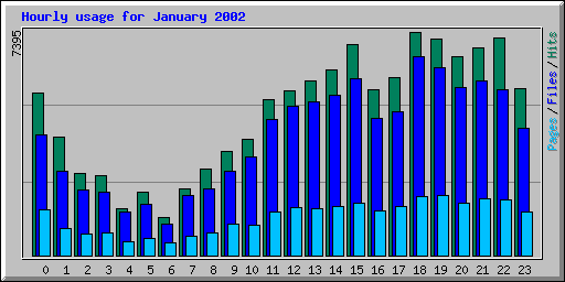 Hourly usage for January 2002