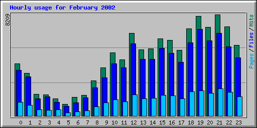 Hourly usage for February 2002
