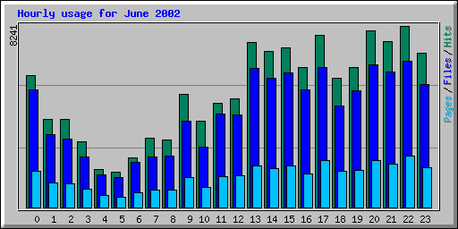 Hourly usage for June 2002