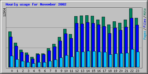 Hourly usage for November 2002