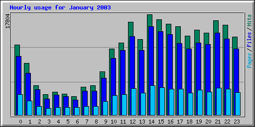 Hourly usage for January 2003