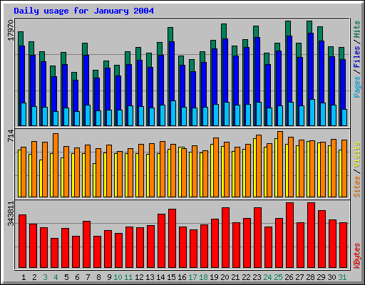 Daily usage for January 2004