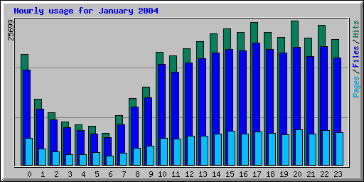 Hourly usage for January 2004