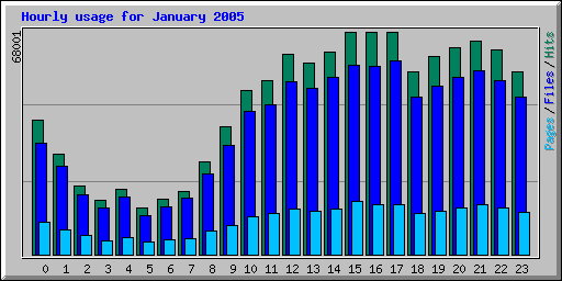 Hourly usage for January 2005