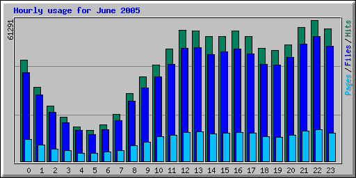 Hourly usage for June 2005