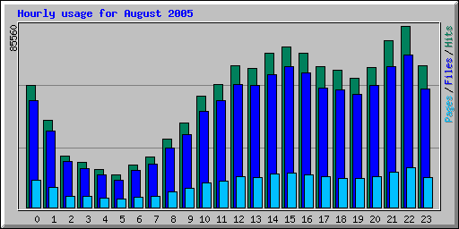 Hourly usage for August 2005