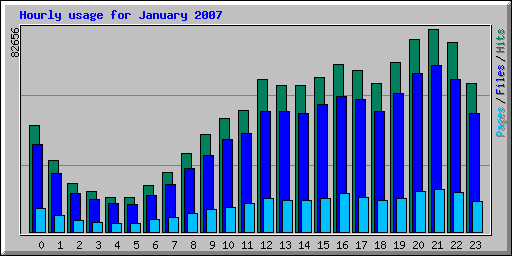 Hourly usage for January 2007